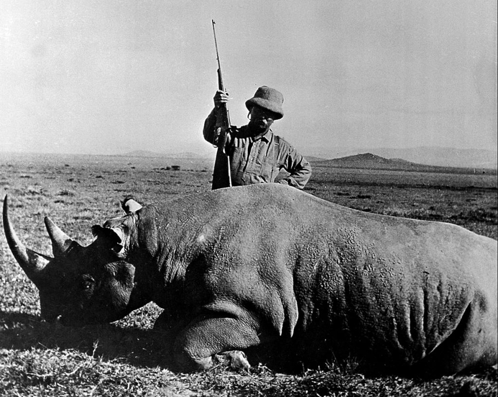 Theodore Roosevelt in 1909, beside a rhinoceros. Theodore Roosevelt in 1909, beside a rhinoceros.