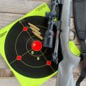 firearms training target