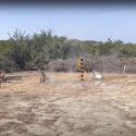 Dueling Tree Handgun Competition